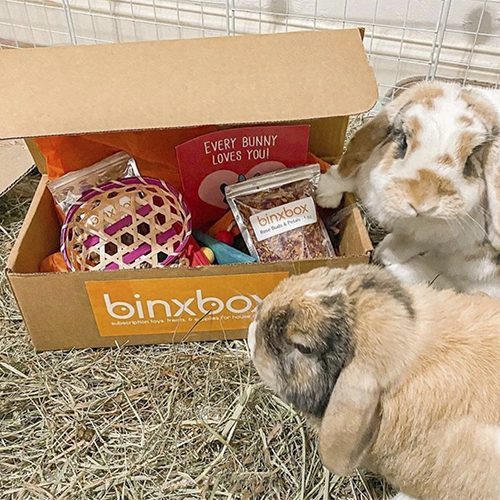 BinxBox Subscription (INTERNATIONAL) *PREPAID YEARLY*