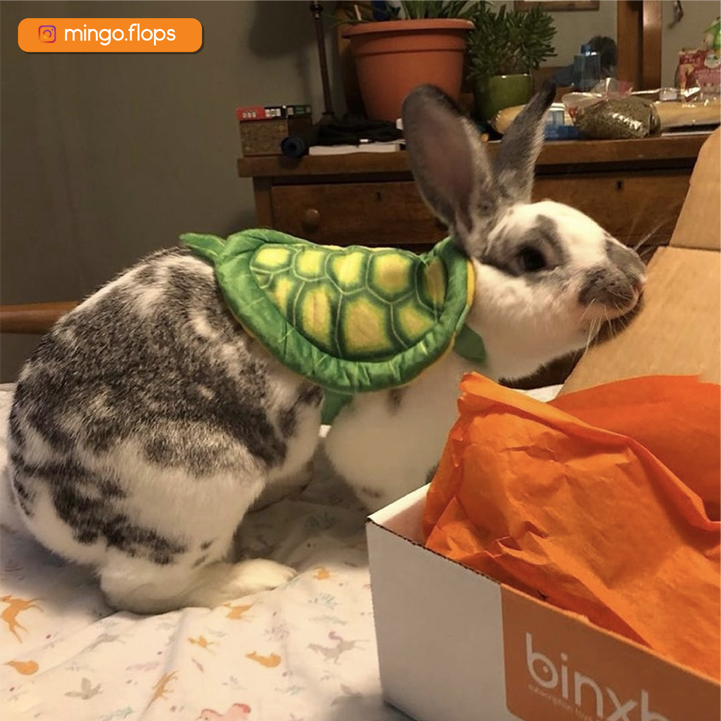 Bun-Turtle Costume