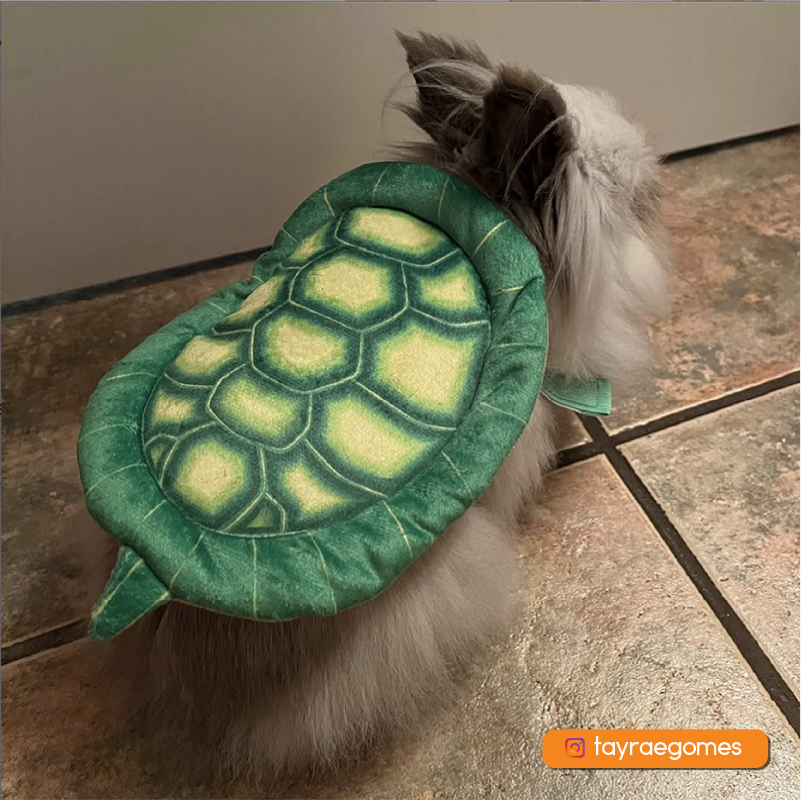 Bun-Turtle Costume