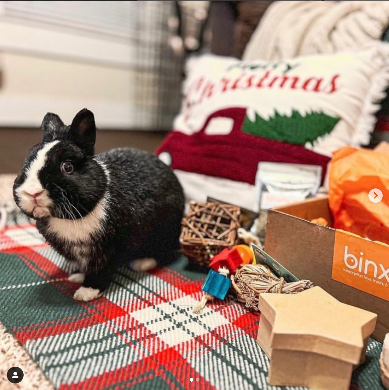 *HOLIDAY* BinxBox Pre-Order