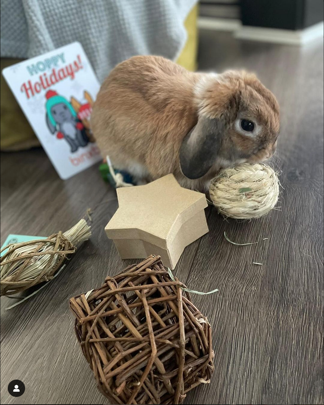 *HOLIDAY* BinxBox Pre-Order