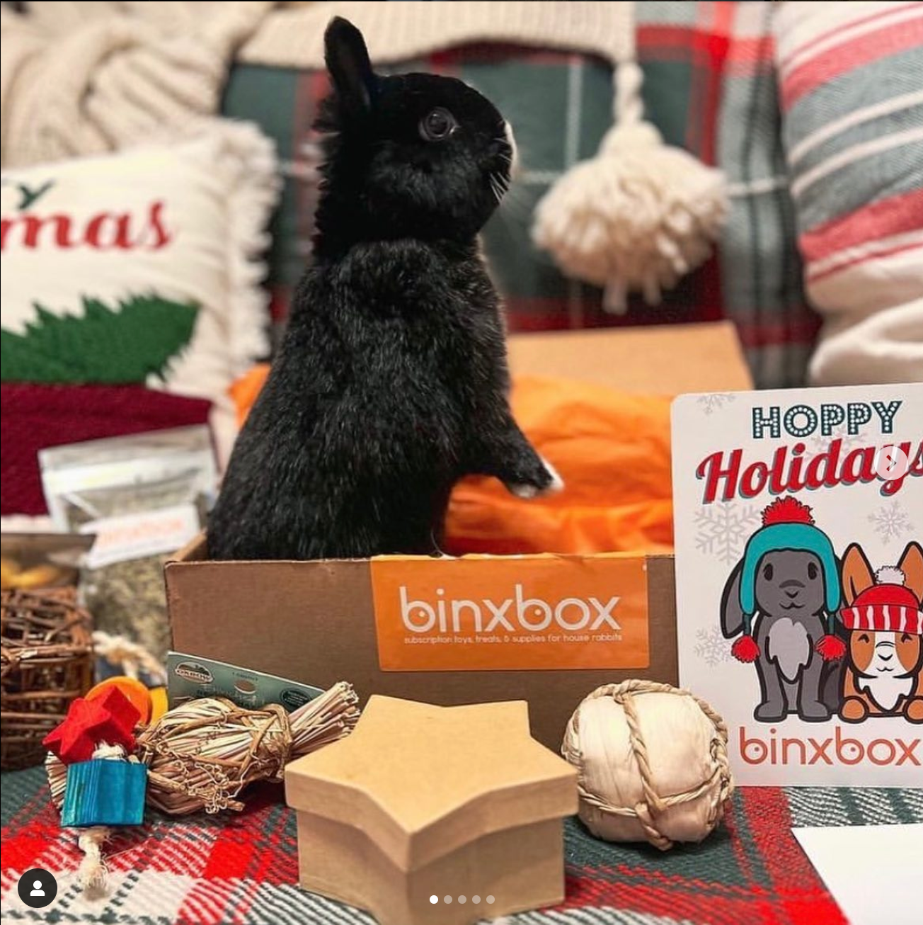 *HOLIDAY* BinxBox Pre-Order