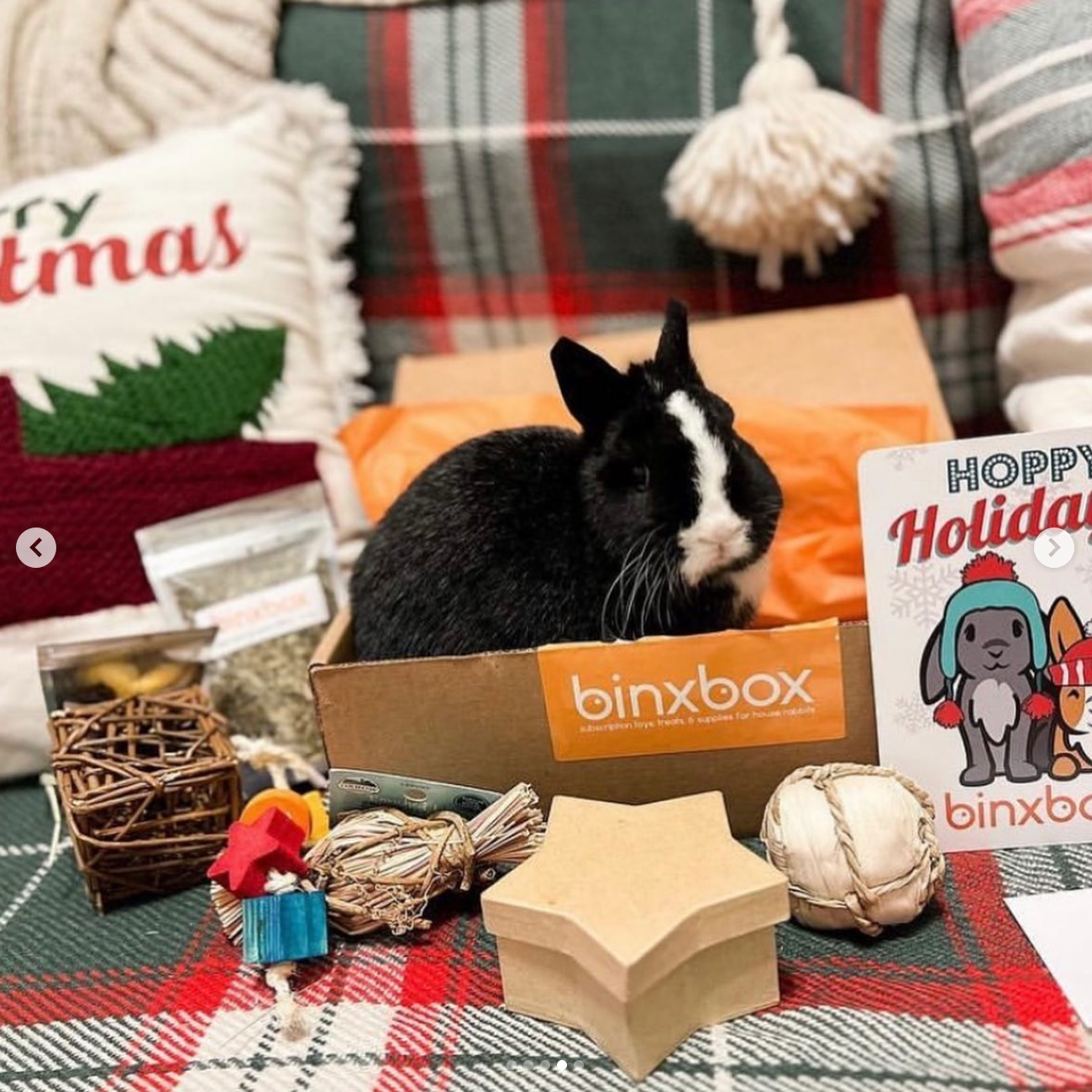 *HOLIDAY* BinxBox Pre-Order