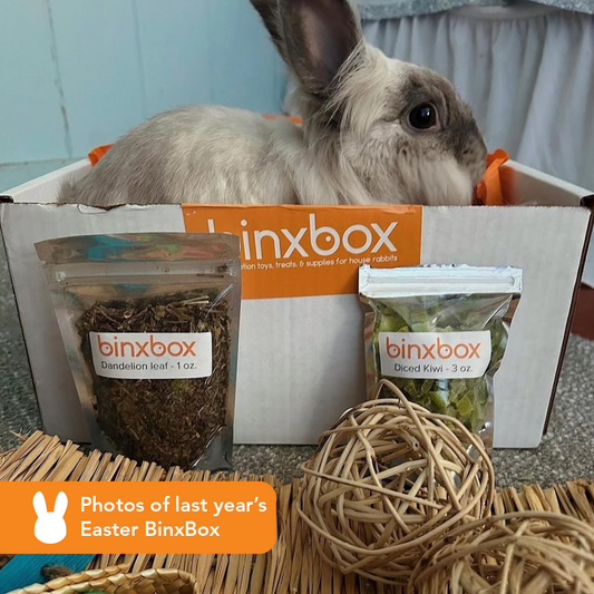 EASTER BinxBox