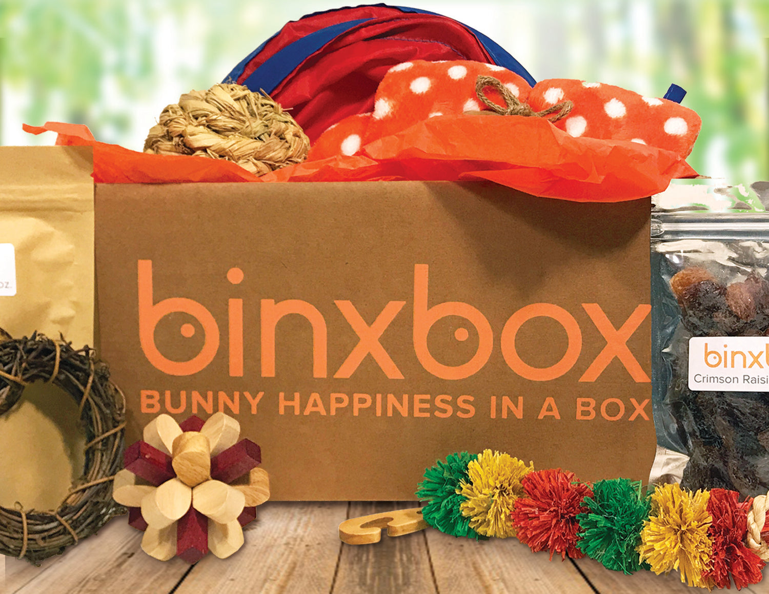BinxBox