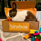 BinxBox Subscription (INTERNATIONAL) *PREPAID YEARLY*