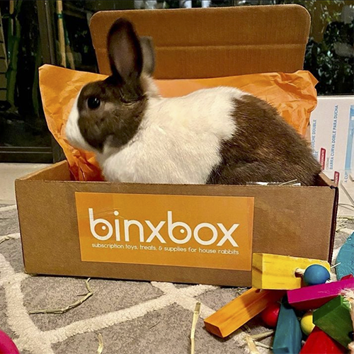 BinxBox Subscription